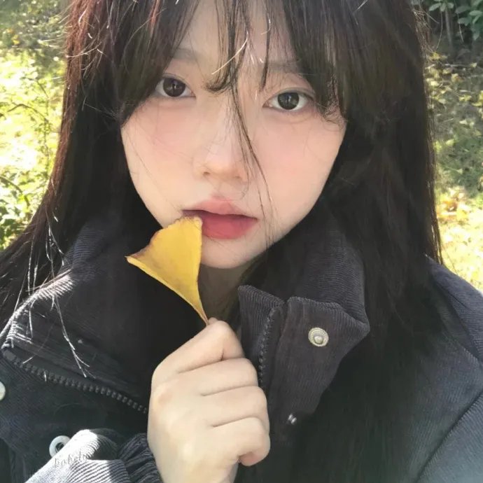 杰拉德历险记